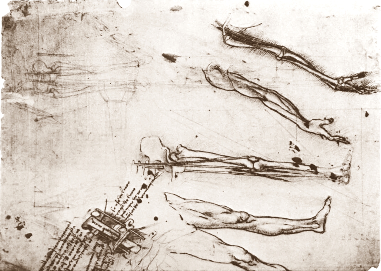 Leonardo+da+Vinci-1452-1519 (752).jpg